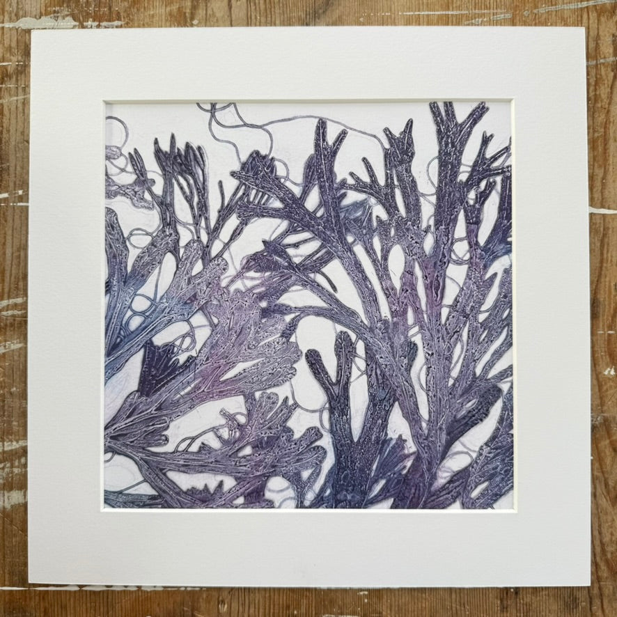 Beneath the Waves - Original Unique Monoprint, Isle of Islay (vi)