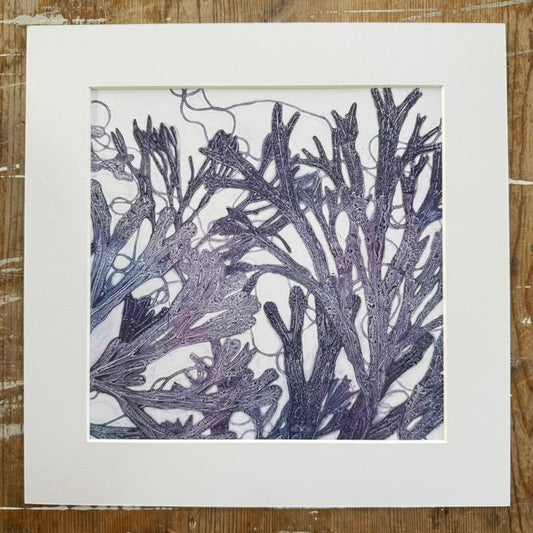 Beneath the Waves - Original Unique Monoprint, Isle of Islay (vi)