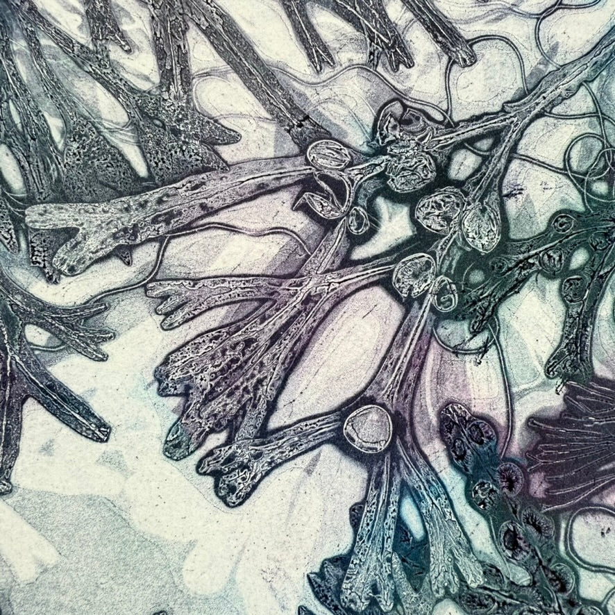 Beneath the Waves - Original Unique Monoprint, Isle of Islay (ix)